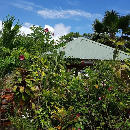 Island Bungalow Insel Insel La Digue Exterior foto